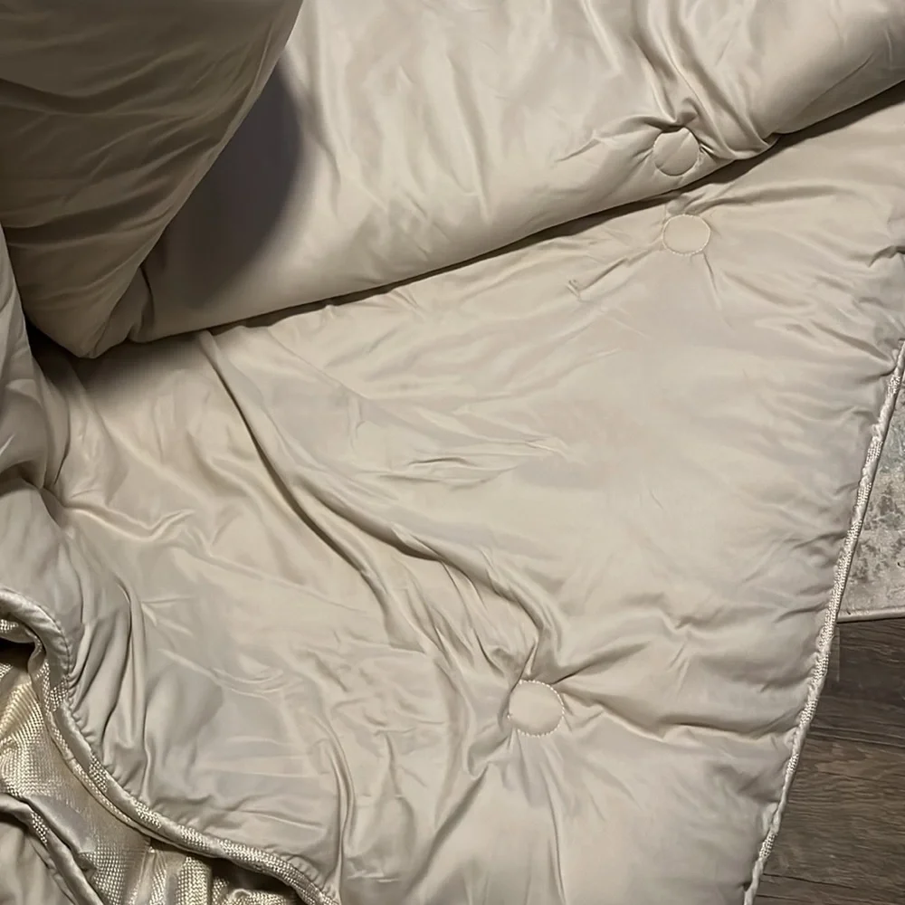Comforter and 2 shams / pillow cases